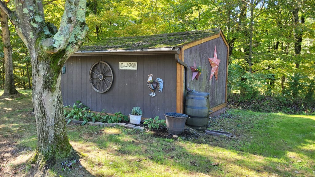 Shed with rain barrel