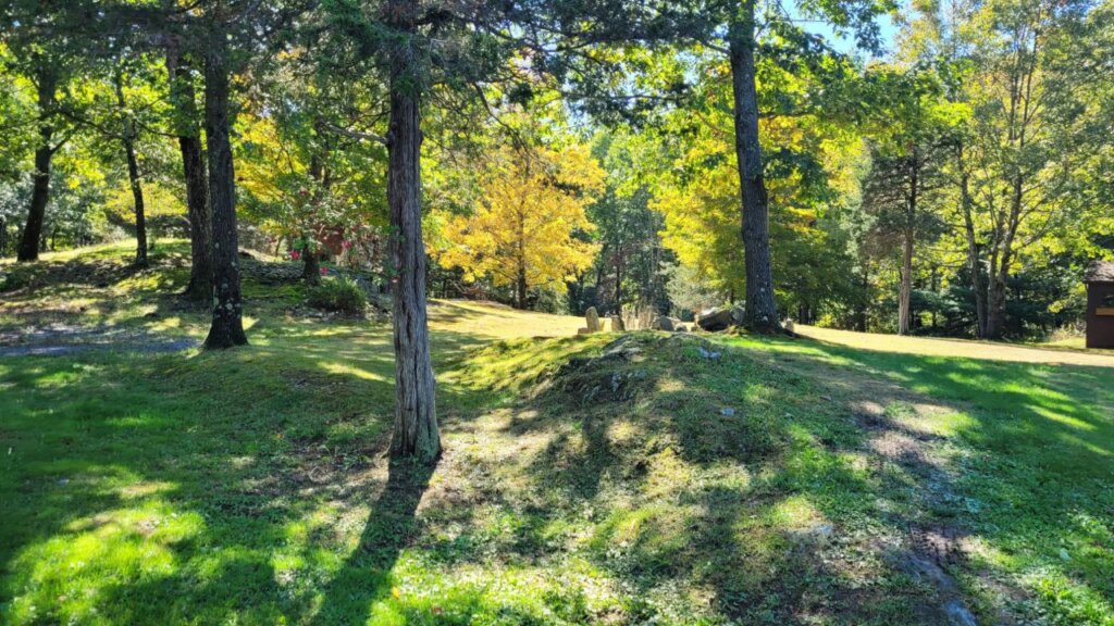 Beautiful trees surrounding the ranch at 342 Round Lake Rd.