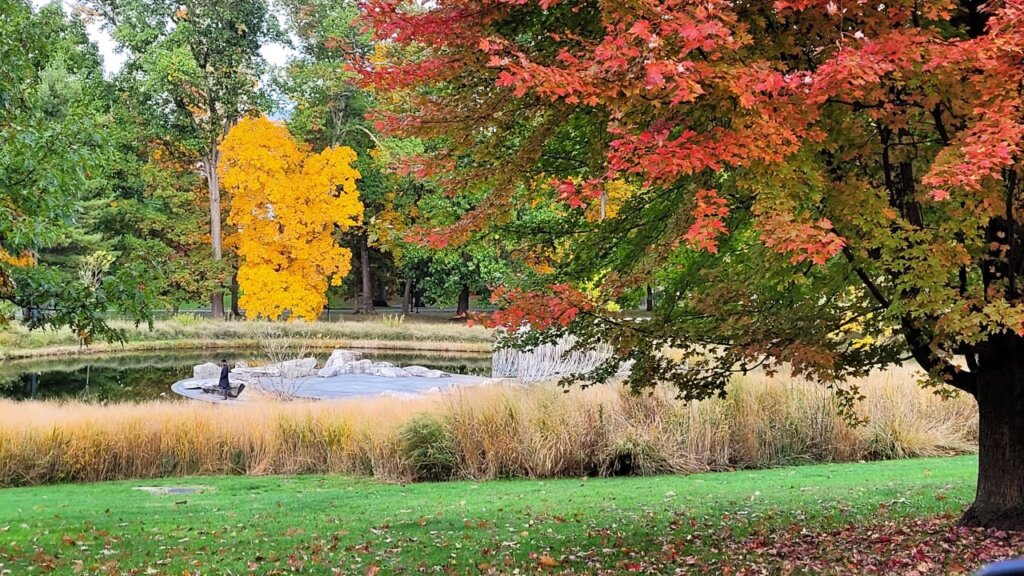 Amazing fall colors