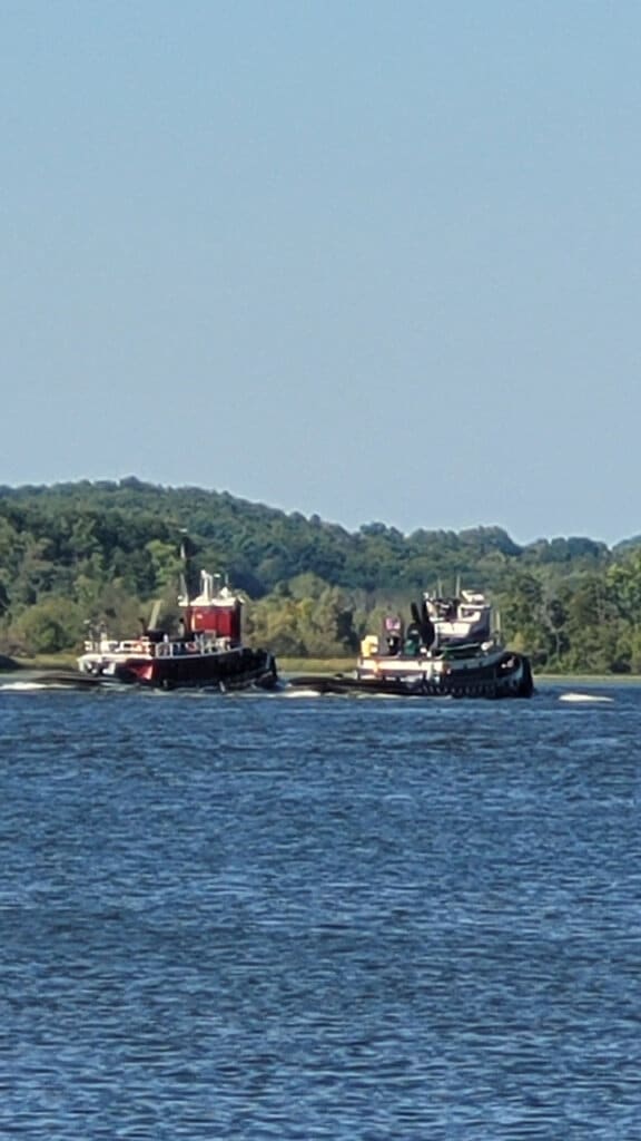 Tugboats near Ernest R Lasher Memorial Park boat launch