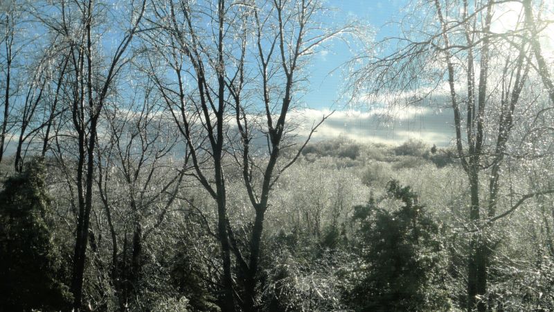 Mid-Hudson Valley ice storm 
A view from the office window at JFIVE Homes Realty LLC